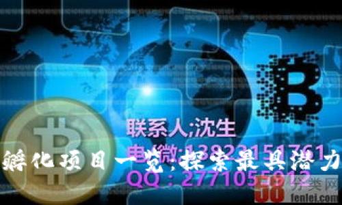 区块链投资孵化项目一览：探索最具潜力的投资机会
