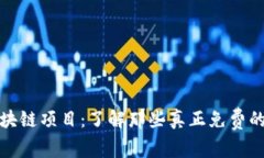 不投资的区块链项目：了