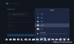 全面解析支持区块链浏览