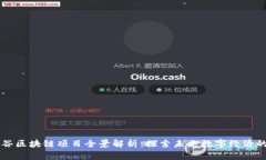武汉光谷区块链项目全景