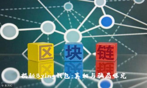 揭秘Bying钱包：真相与骗局曝光