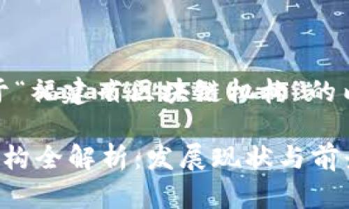 好的，下面是关于“福建省区块链机构”的内容和结构规划。

福建省区块链机构全解析：发展现状与前景