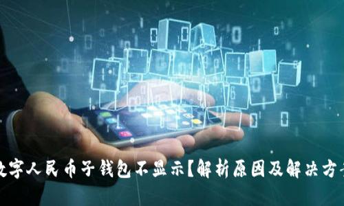 数字人民币子钱包不显示？解析原因及解决方案