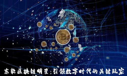 
东软区块链明星：引领数字时代的关键玩家