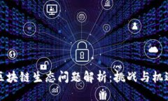 区块链生态问题解析：挑