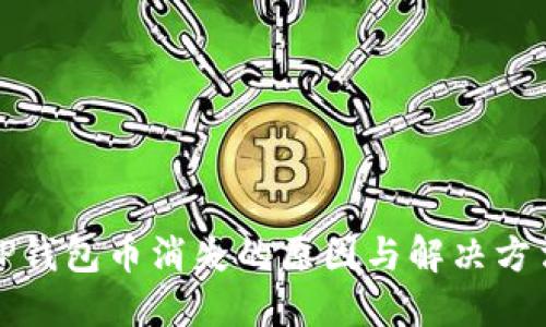 TP钱包币消失的原因与解决方法