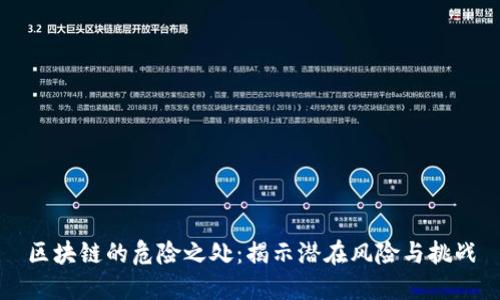 区块链的危险之处：揭示潜在风险与挑战