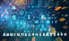 区块链公链TR生态中的主要
