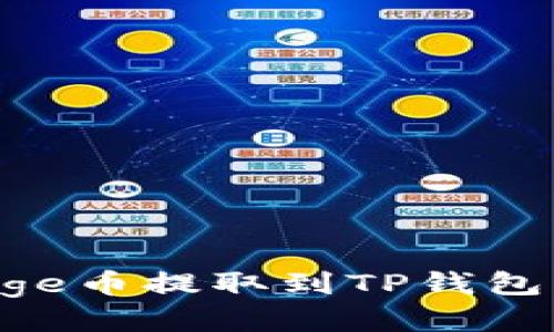 如何将Doge币提取到TP钱包：详尽指南