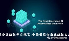 全南综合区块链平台概览