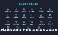 深圳区块链通道全景解析