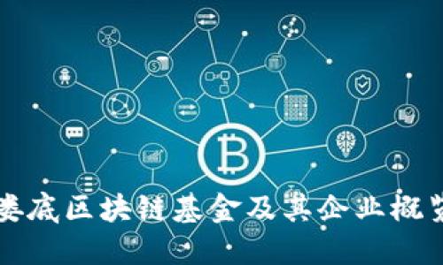 娄底区块链基金及其企业概览