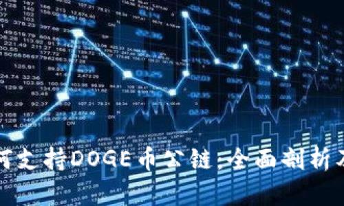TP钱包如何支持DOGE币公链：全面剖析及应用场景