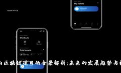 国内区块链项目的全景解