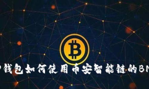 TP钱包如何使用币安智能链的BNB