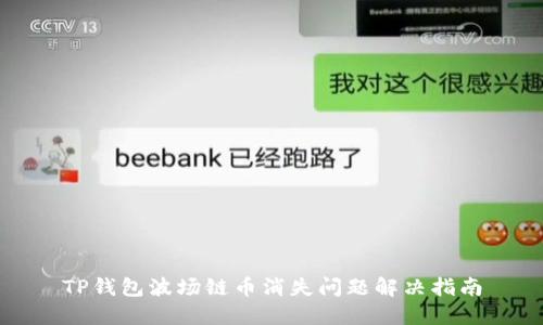 TP钱包波场链币消失问题解决指南