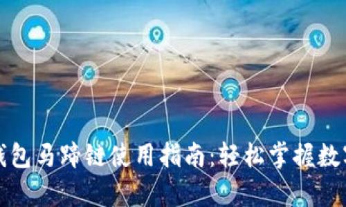 byaotiTP钱包马蹄链使用指南：轻松掌握数字资产管理
