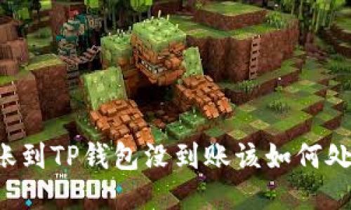 转账到TP钱包没到账该如何处理？