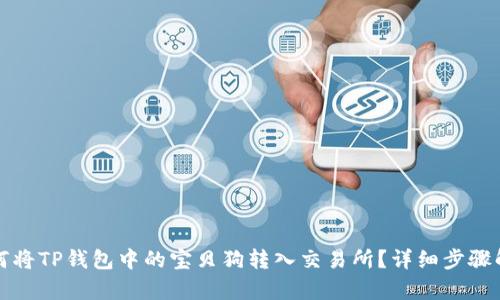 如何将TP钱包中的宝贝狗转入交易所？详细步骤解析