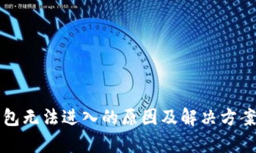 TP钱包无法进入的原因及解决方案解析
