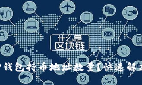 如何查询TP钱包持币地址数量？快速解决你的困惑！