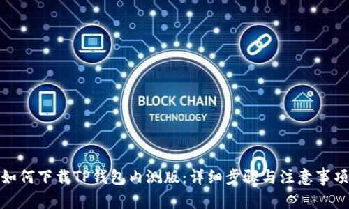 如何下载TP钱包内测版：详细步骤与注意事项