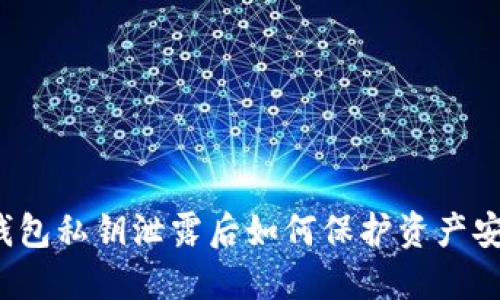 TP钱包私钥泄露后如何保护资产安全？