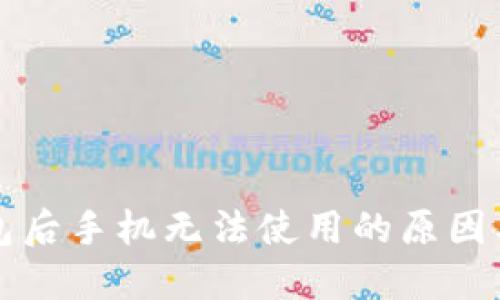 下载TP钱包后手机无法使用的原因及解决方案