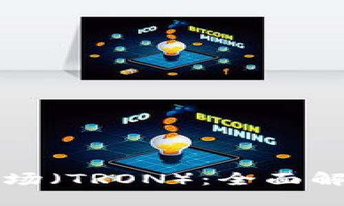 TP钱包中的波场（TRON）：全面解读与使用指南