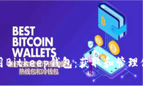 如何安全使用Bitkeep钱包：获取和管理你的钱包地址