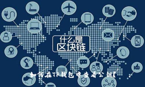 如何在TP钱包中查看公钥？