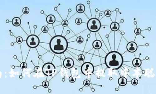 新手指南：如何在TP钱包中提取中本聪（比特币）