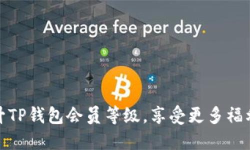 如何提升TP钱包会员等级，享受更多福利和服务
