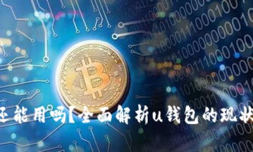 u钱包还能用吗？全面解析u钱包的现状与未来