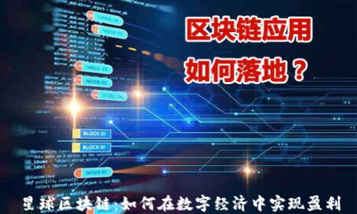 
星球区块链：如何在数字经济中实现盈利