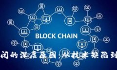 区块链倒闭的深层原因：