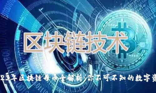 2023年区块链母币全解析：你不可不知的数字资产