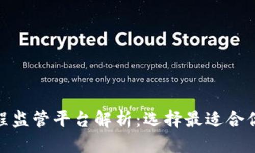 : 区块链工程监管平台解析：选择最适合你的解决方案