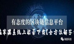 TP钱包在苹果系统上能否下