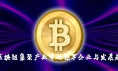 : 区块链集聚产业中的领军