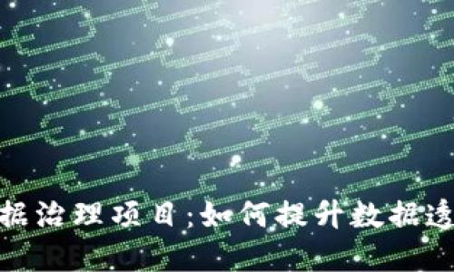 探索区块链数据治理项目：如何提升数据透明度与安全性