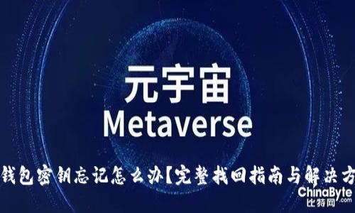 TP钱包密钥忘记怎么办？完整找回指南与解决方案