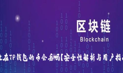 放在TP钱包的币会丢吗？安全性解析与用户指南