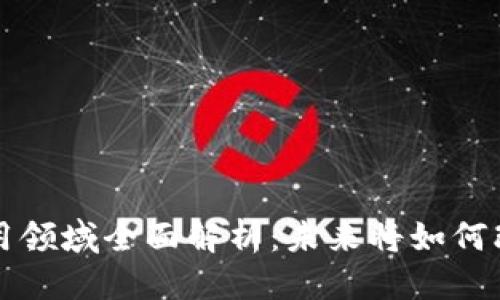 思考一个且的  
区块链技术应用领域全面解析：未来将如何改变我们的生活