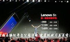 河南区块链平台公司详解