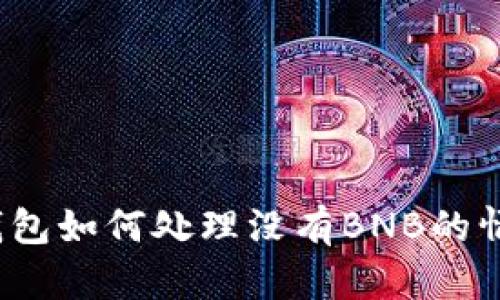 TP钱包如何处理没有BNB的情况？