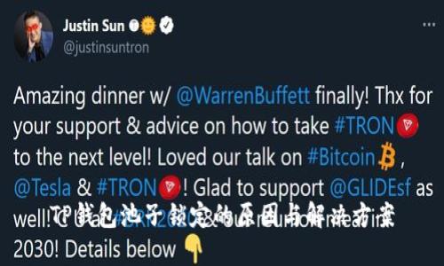 TP钱包池子锁定的原因与解决方案
